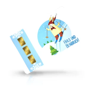 Ski fahren 02