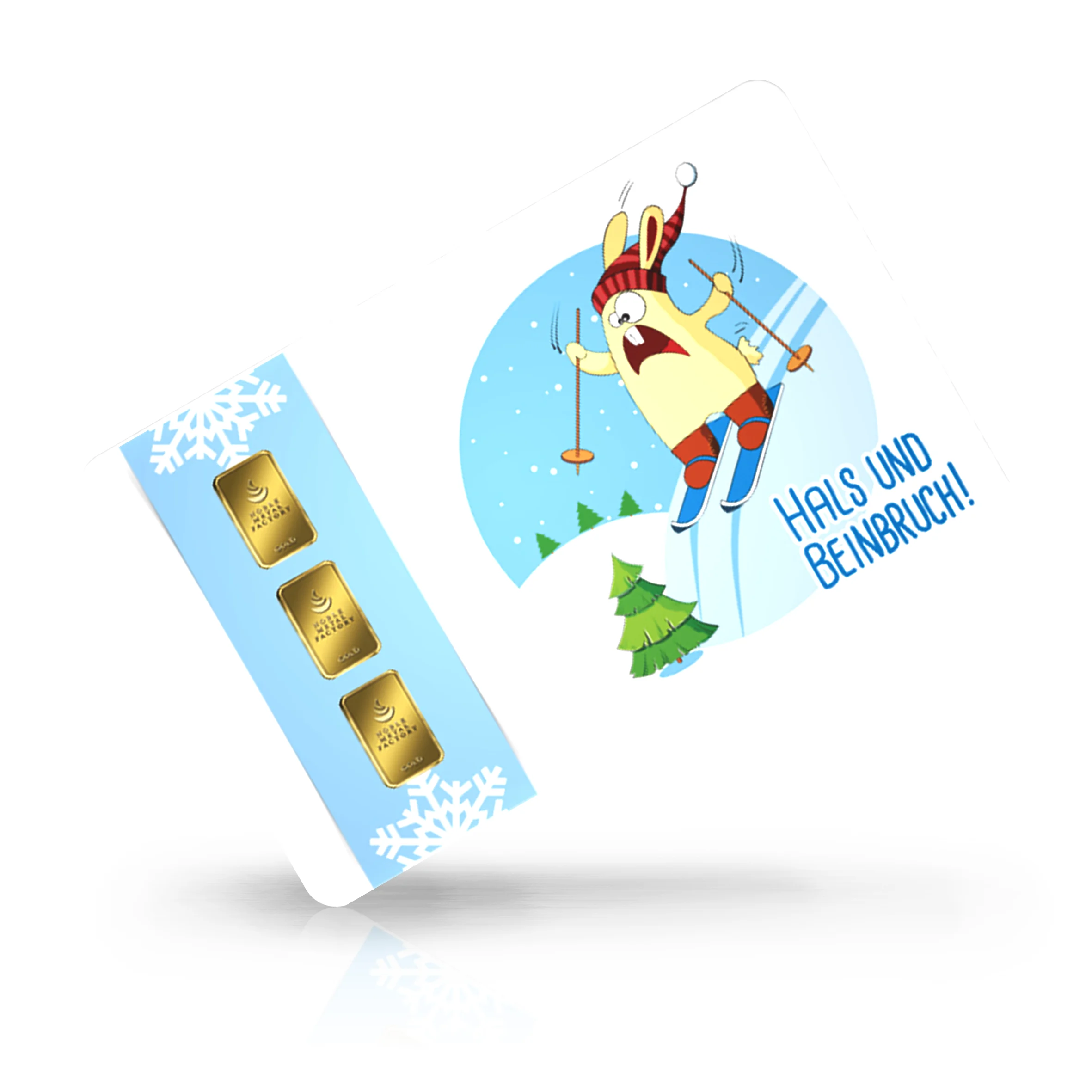 Ski fahren 02