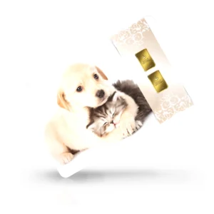 Hund & Katze 01