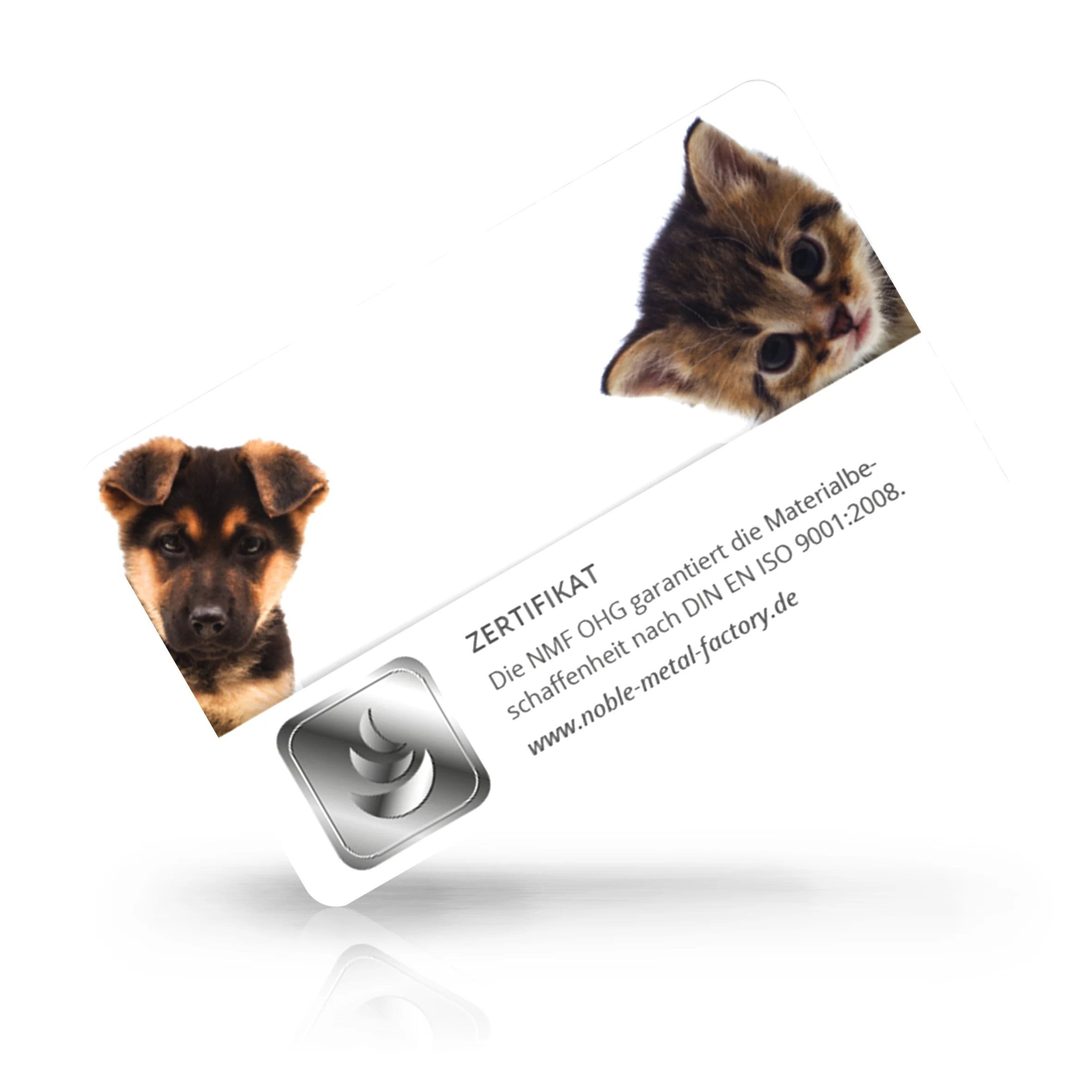 Hund & Katze 02