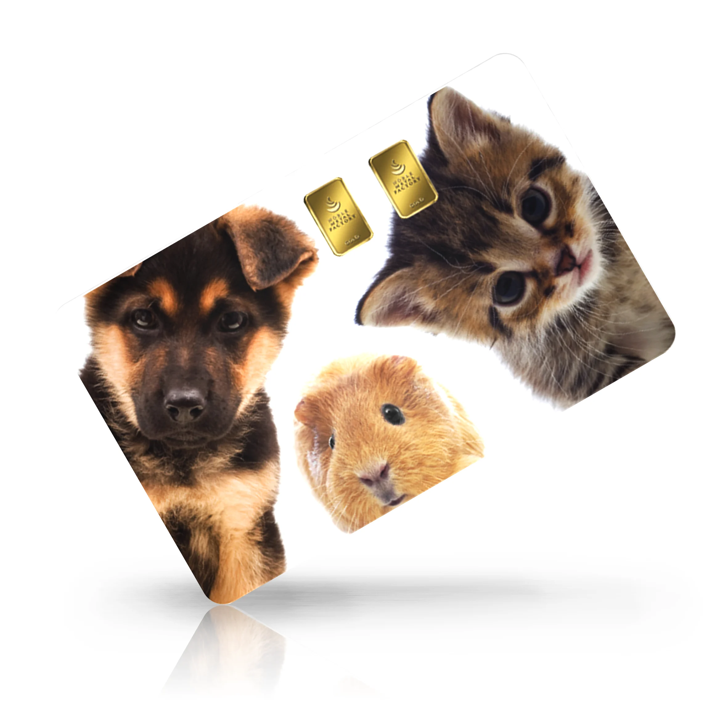 Hund & Katze 02