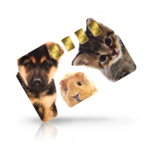 Hund & Katze 02