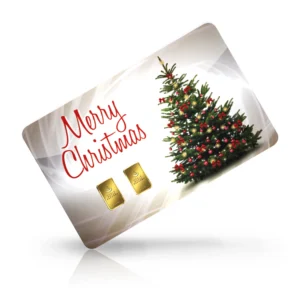 Weihnachten 08
