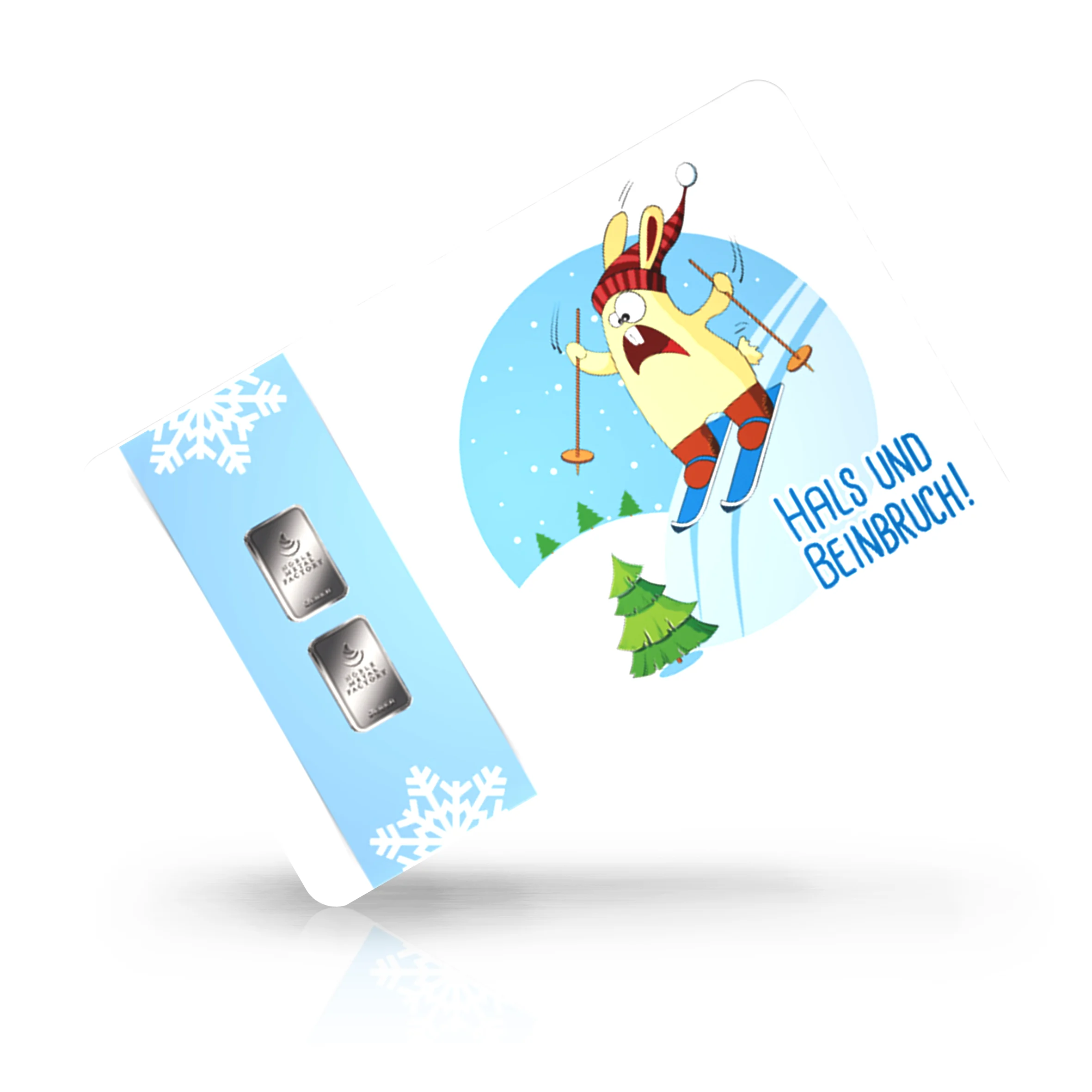 Ski fahren 02