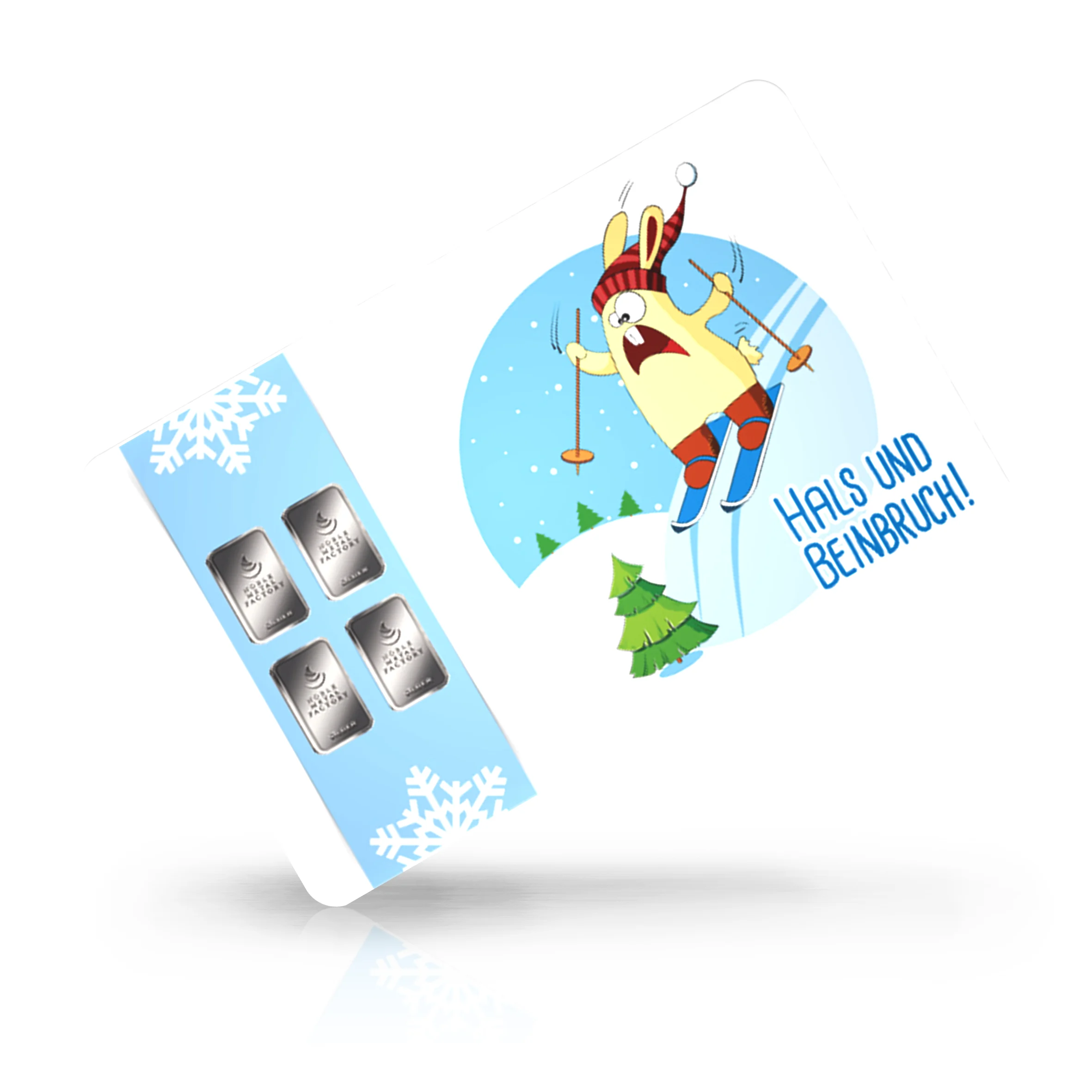 Ski fahren 02