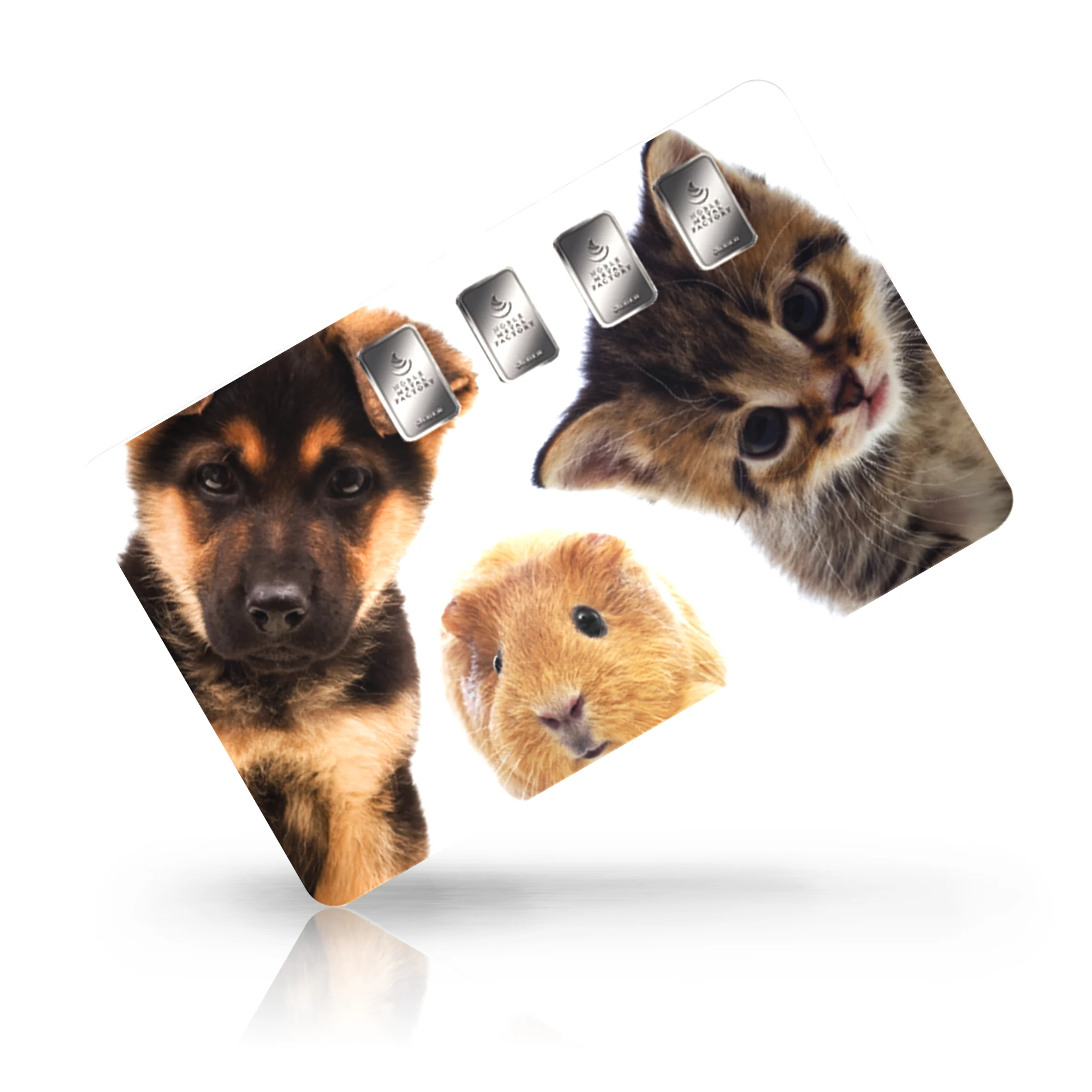 Hund & Katze 02